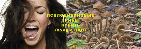 тгк Аркадак